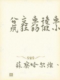 公交车后车座的疯狂的做小