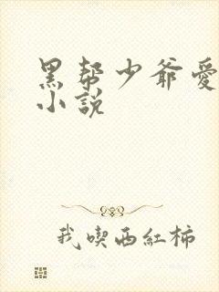 黑帮少爷爱上我小说
