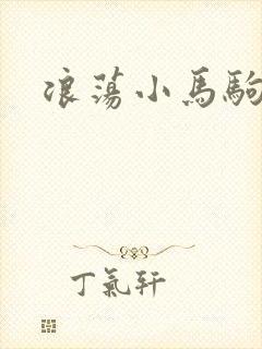 浪荡小马驹
