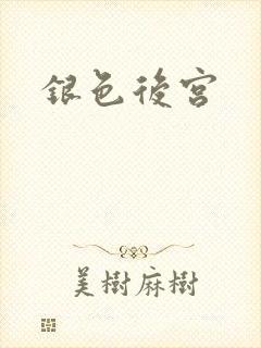 银色后宫