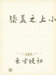 膝盖之上小说