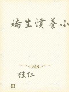 娇生惯养小说