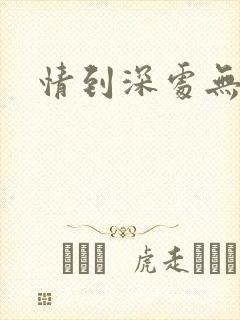 情到深处无怨尤封面
