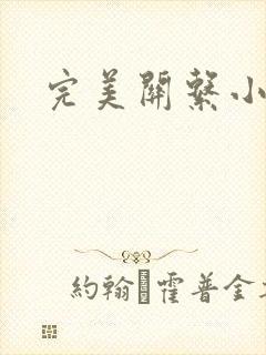 完美关系小说封面