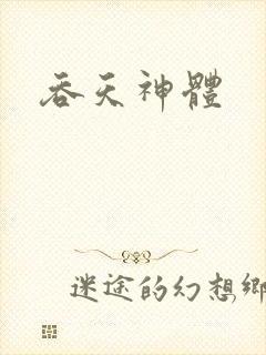 吞天神体封面