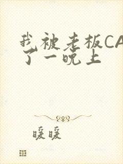 我被老板CAO了一晚上