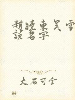 赵晓东吴雪晴小说名字