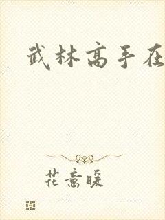 武林高手在异界