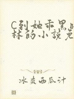 C到她乖黑暗森林的小说免费