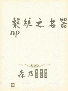 系统之名器攻略np封面