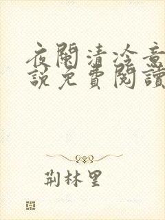 夜阑清冷意欢小说免费阅读
