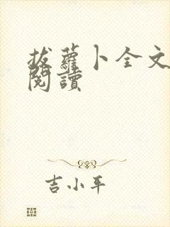 书籍封面