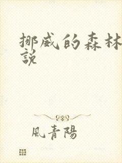挪威的森林 小说