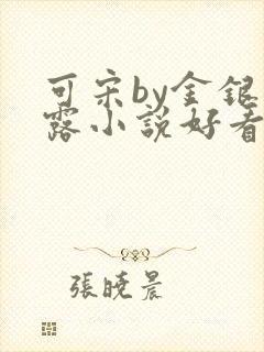 可宋by金银花露小说好看吗封面