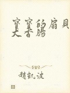宝宝的扇贝想吃大香肠封面