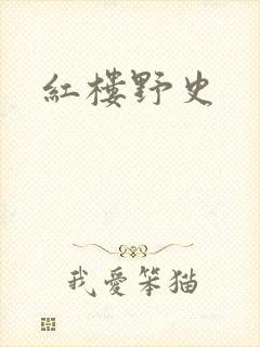 红楼野史