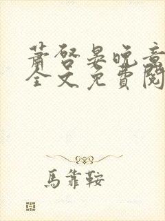 萧启晏晚意小说全文免费阅读封面