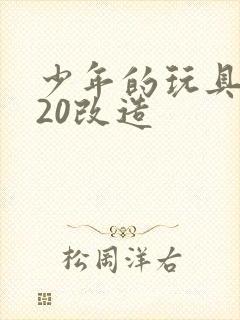 少年的玩具1一20改造封面