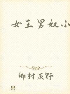 女王男奴小说封面