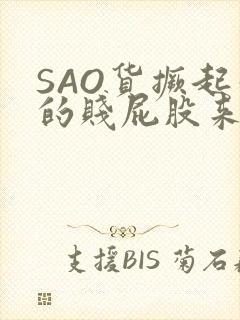 SAO货撅起你的贱屁股来