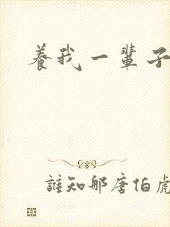 养我一辈子封面
