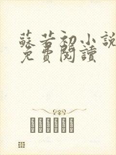 苏若初小说全文免费阅读
