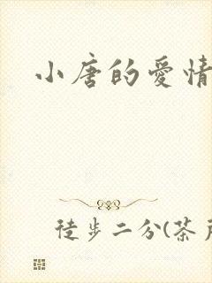 小唐的爱情史