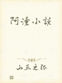 阿潼小说