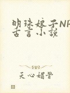 明珠娘子NPC古言小说
