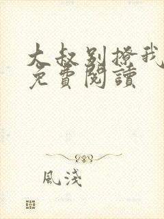 大叔别撩我小说免费阅读