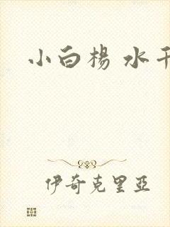 小白杨 水千丞封面