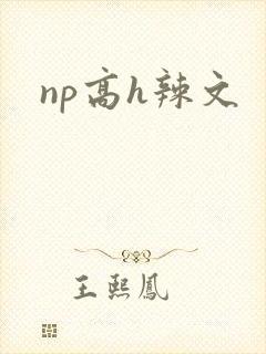 np高h辣文