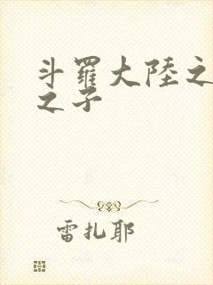 斗罗大陆之七怪之子封面