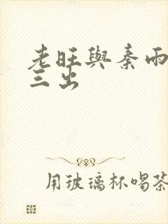 老旺与秦雨三进三出