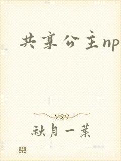 共享公主npc