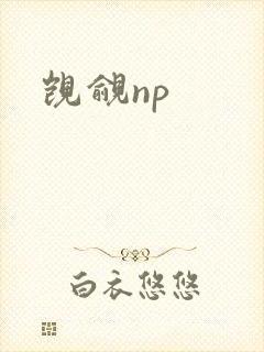 觊觎np封面