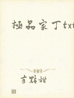 极品家丁txt