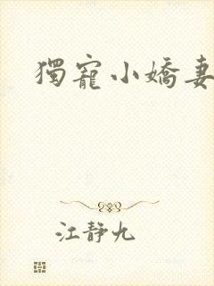 独宠小娇妻