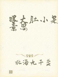 眼大肚小是什么意思
