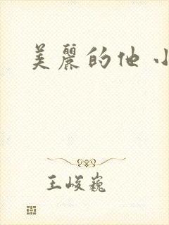 美丽的他 小说封面