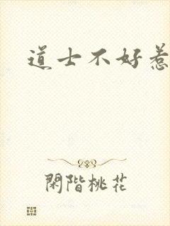 道士不好惹封面