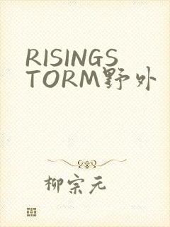 RISINGSTORM野外封面