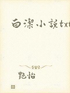 白洁小说txt