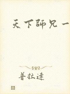 天下师兄一般黑封面