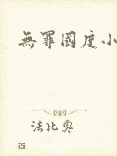 无罪国度小说封面
