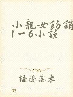 小龙女的销魂夜1一6小说