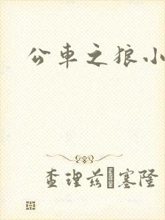 公车之狼小说