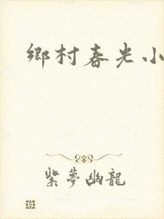 乡村春光小说封面