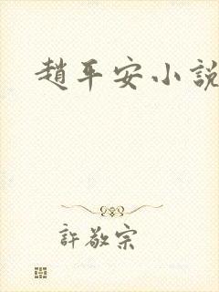赵平安小说主角封面