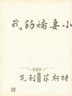 我的娇妻小说